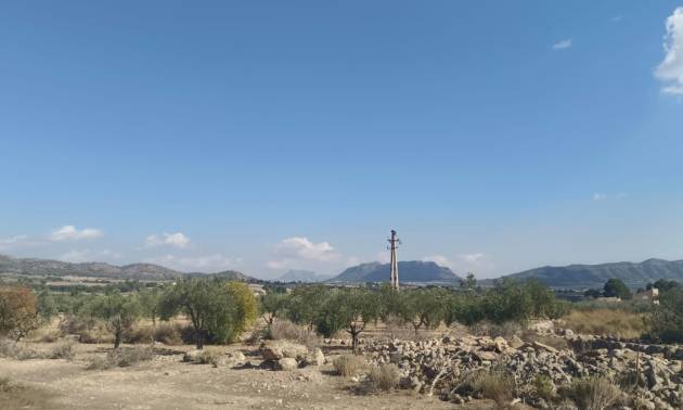 Sale - Land - Salinas