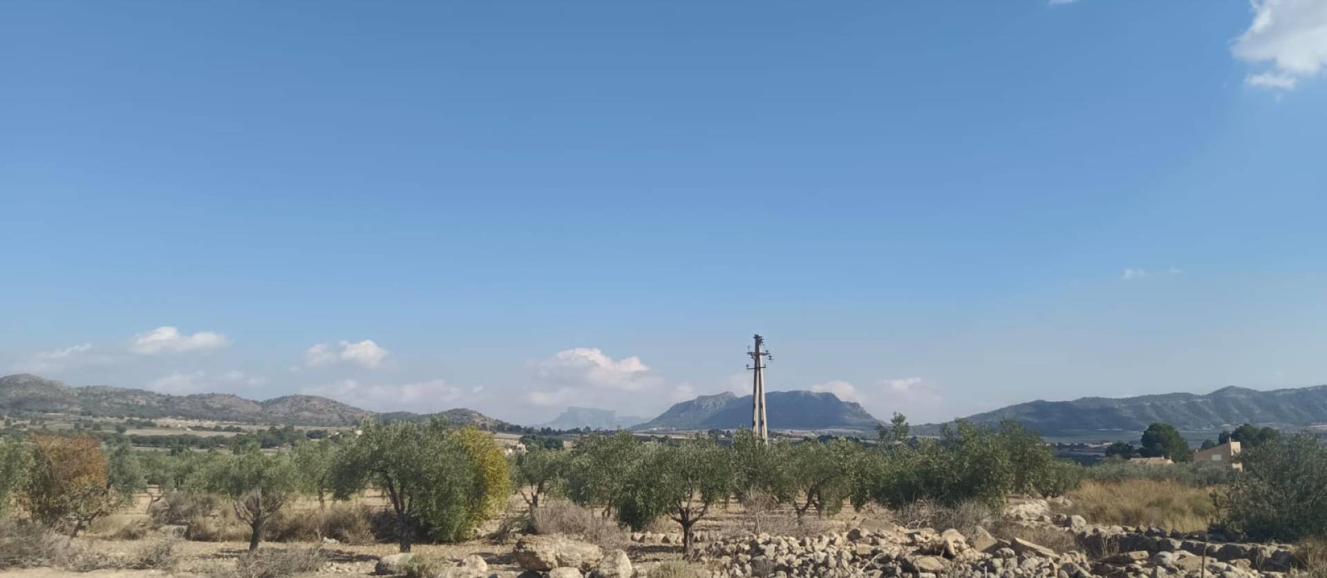 Sale - Land - Salinas