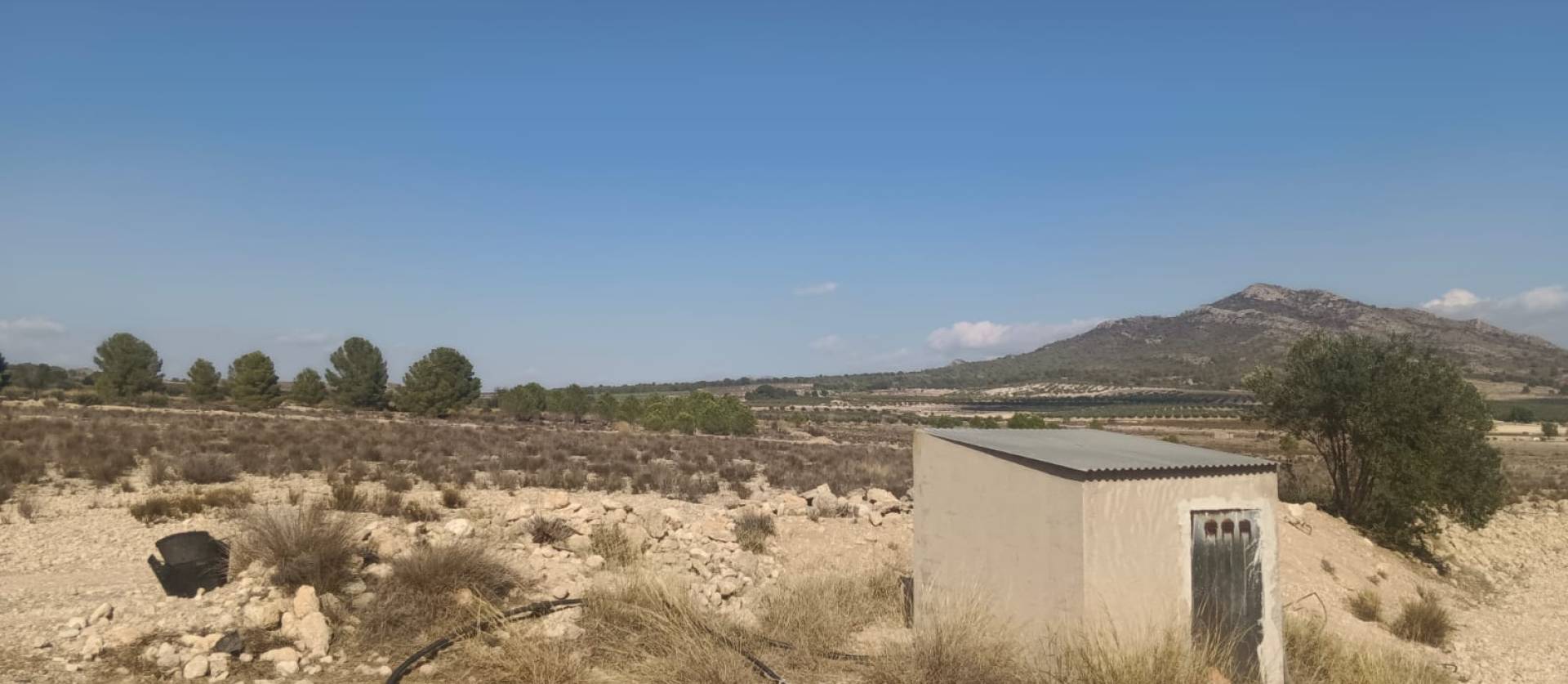 Sale - Land - Salinas