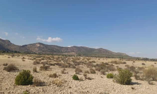 Sale - Land - Salinas