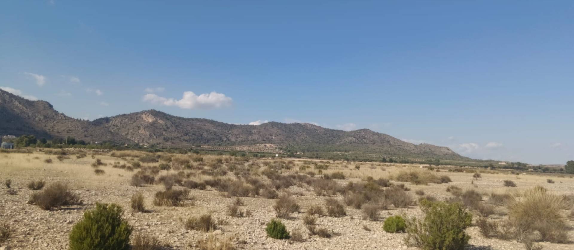 Sale - Land - Salinas