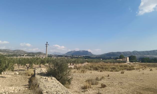 Sale - Land - Salinas