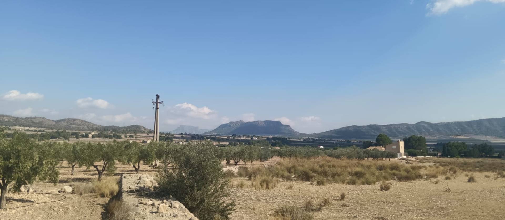 Sale - Land - Salinas