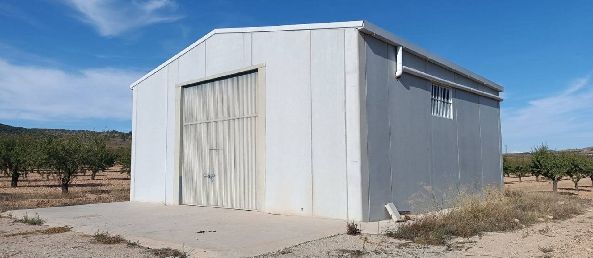 Revente - Land - Yecla