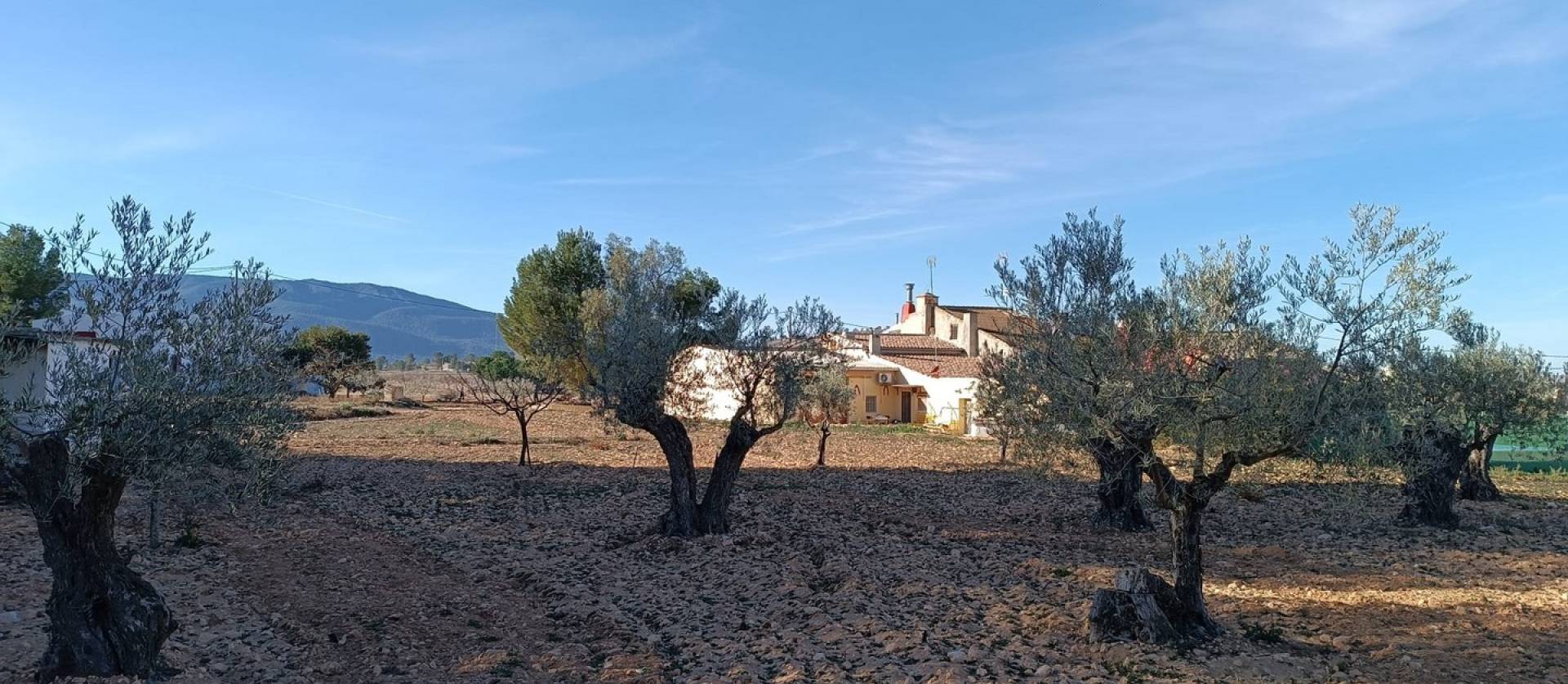 Sale - Country House - Yecla