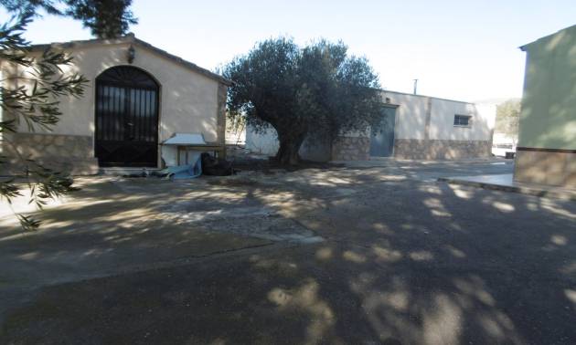 Sale - Villa - Yecla