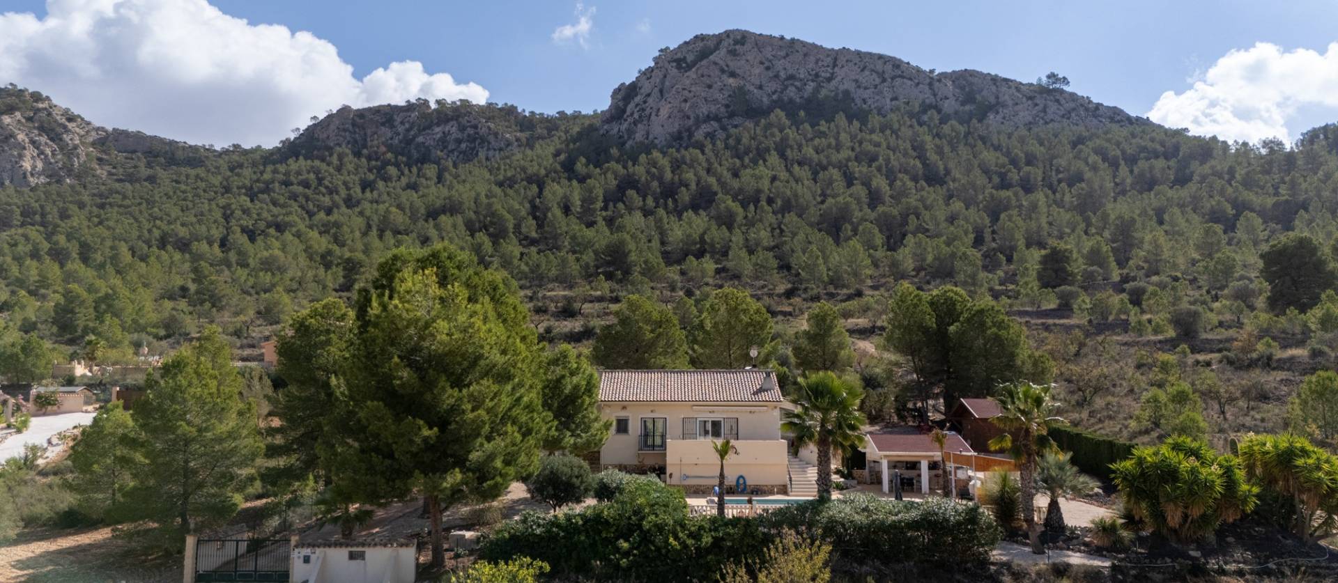 Sale - Independent villa - La Zarza