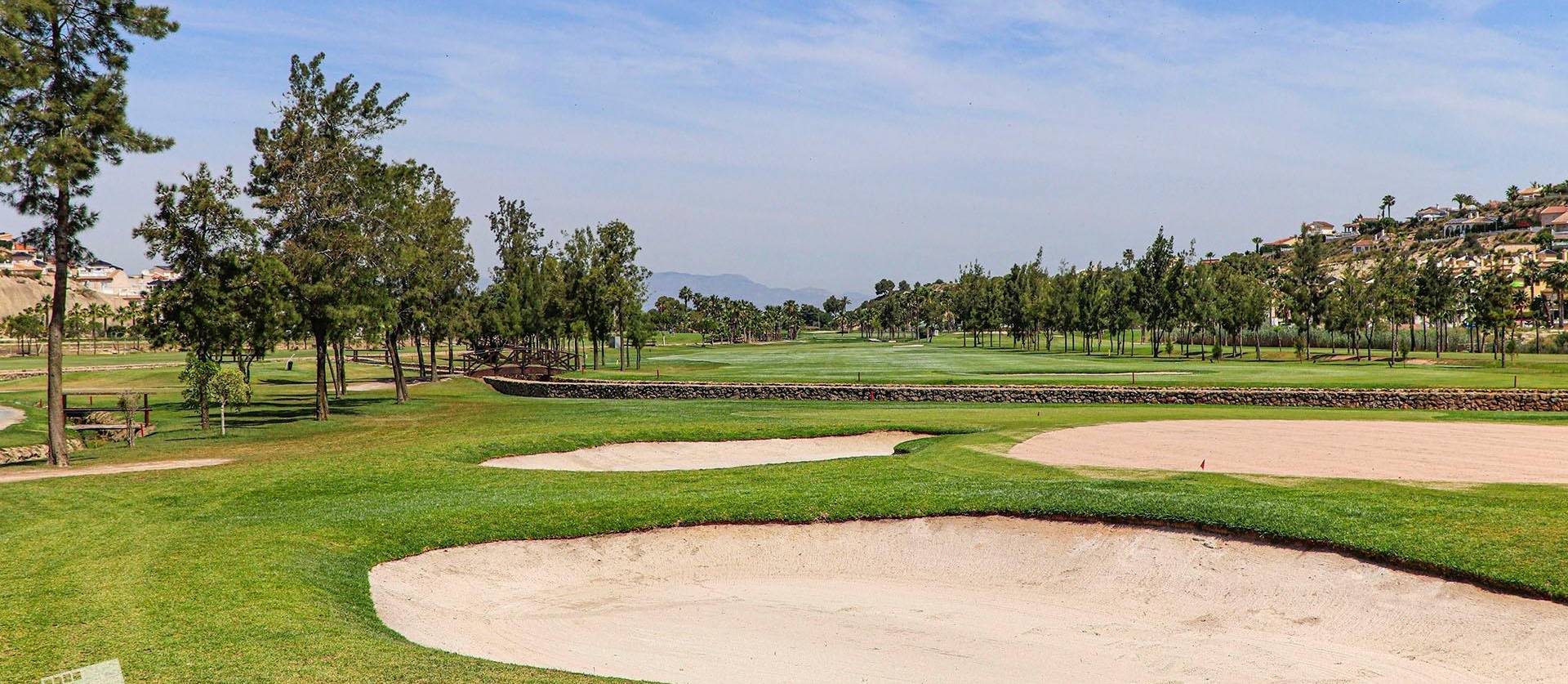 New Build - Villa - Rojales - Ciudad Quesada