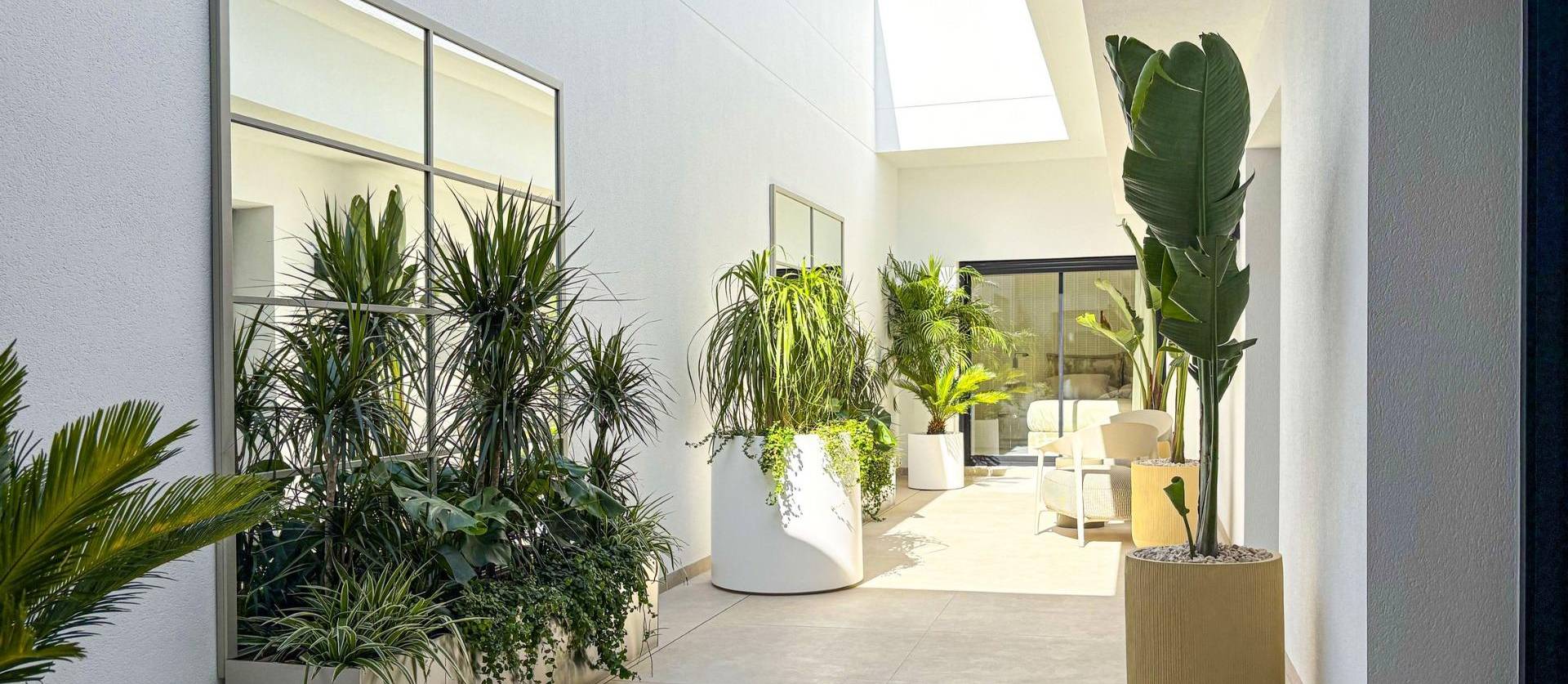 New Build - Villa - Rojales - Ciudad Quesada