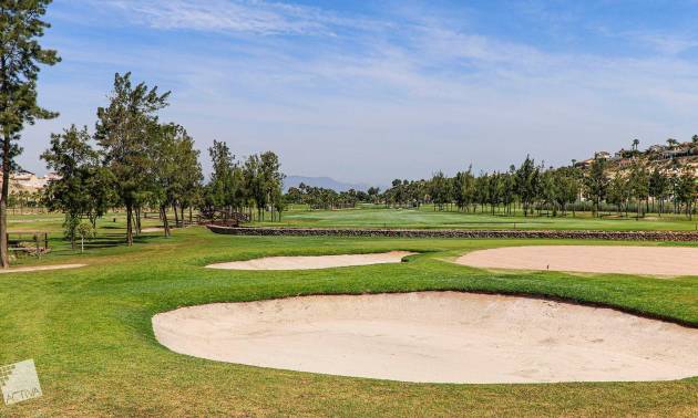 New Build - Villa - Rojales - Ciudad Quesada