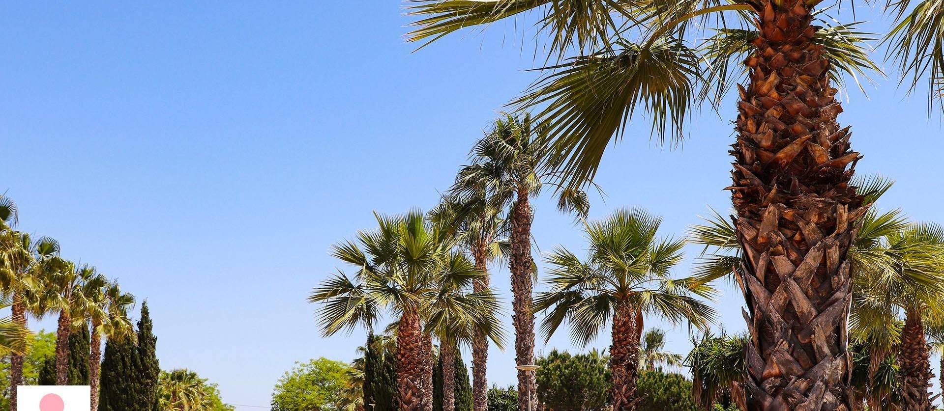 New Build - Villa - San Fulgencio - La Escuera