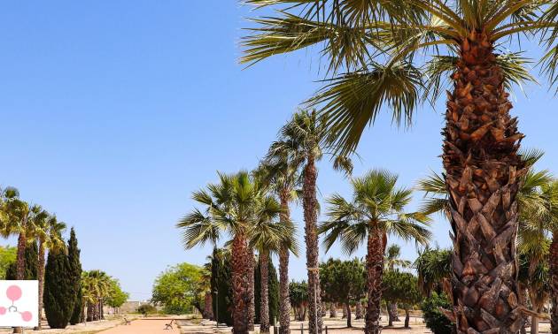 New Build - Villa - San Fulgencio - La Escuera