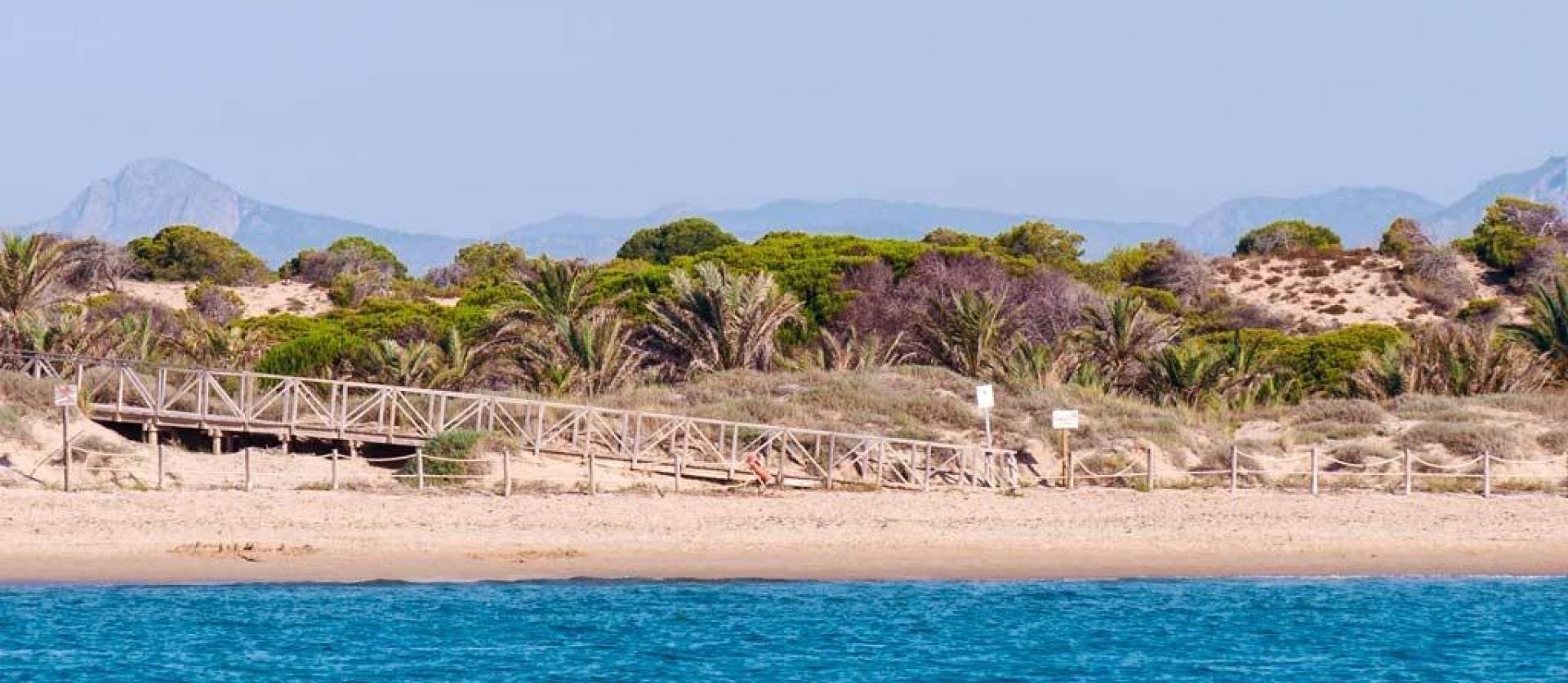 New Build - Apartment - Guardamar del Segura - Pueblo