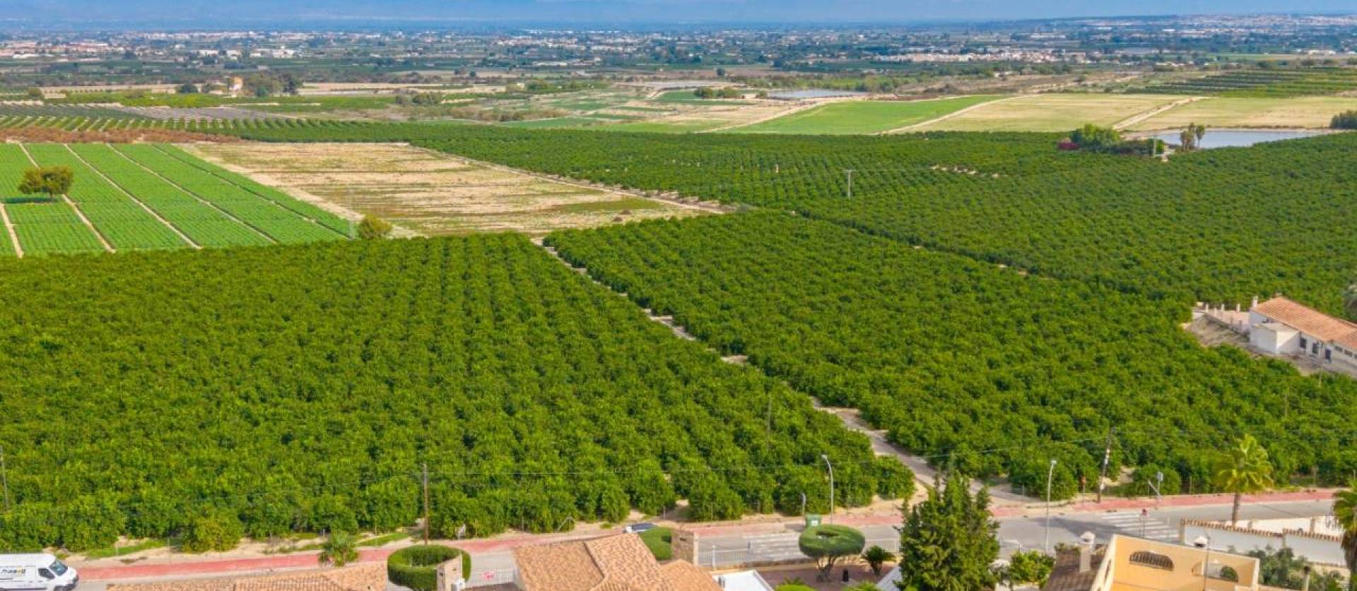 Sale - Villa - Algorfa - Castillo De Montemar