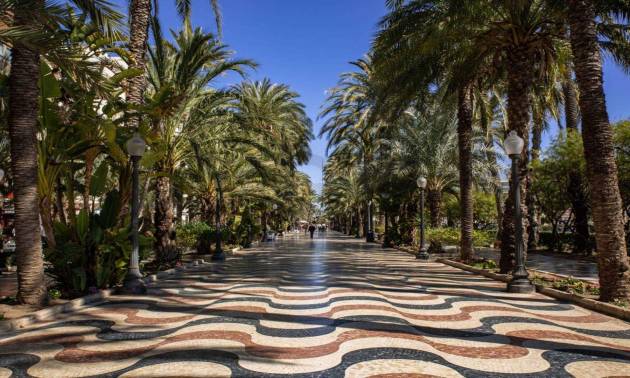 New Build - Apartment - Alicante - Center