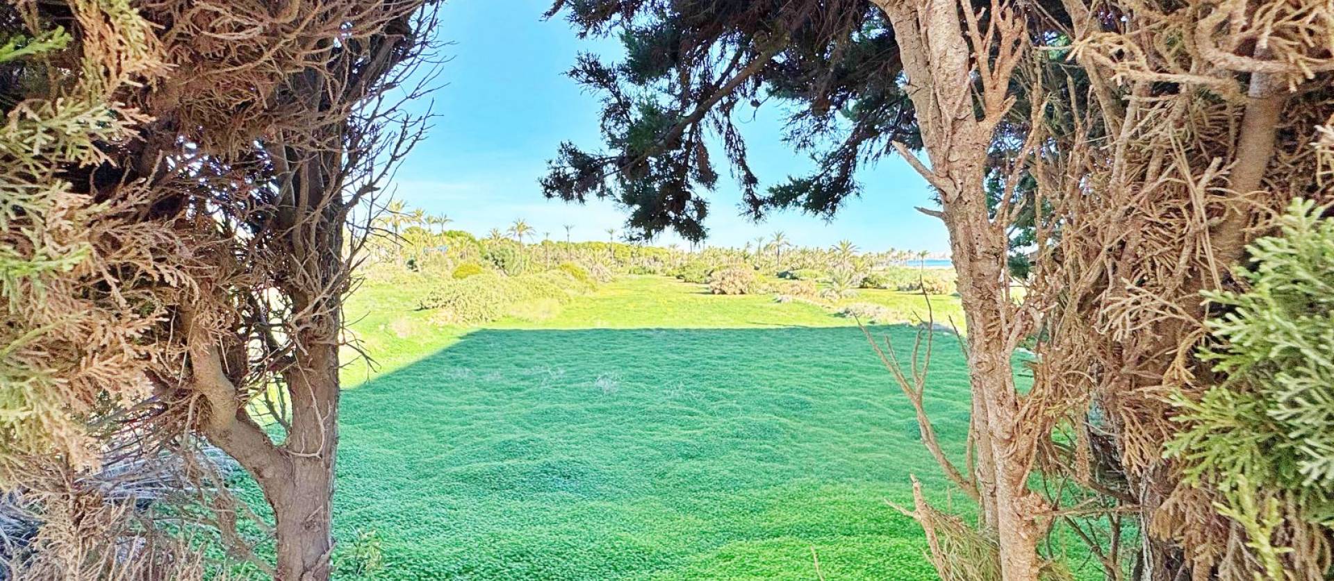 Sale - Apartment - Torrevieja - Rocio del mar