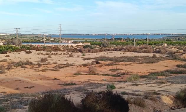 Sale - House - Detached Villa (4) - Los Montesinos - La Herrada