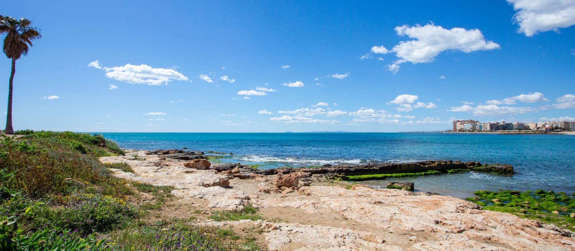 Sale - Apartment - Torrevieja - Centro - Muelle Pesquero