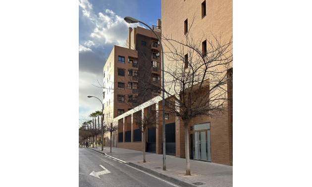 New Build - Apartment - Alicante - Carolinas Bajas