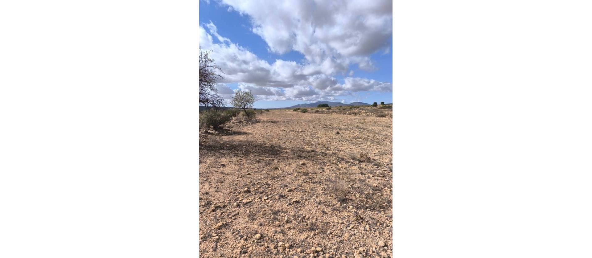 Revente - Land - Pinoso