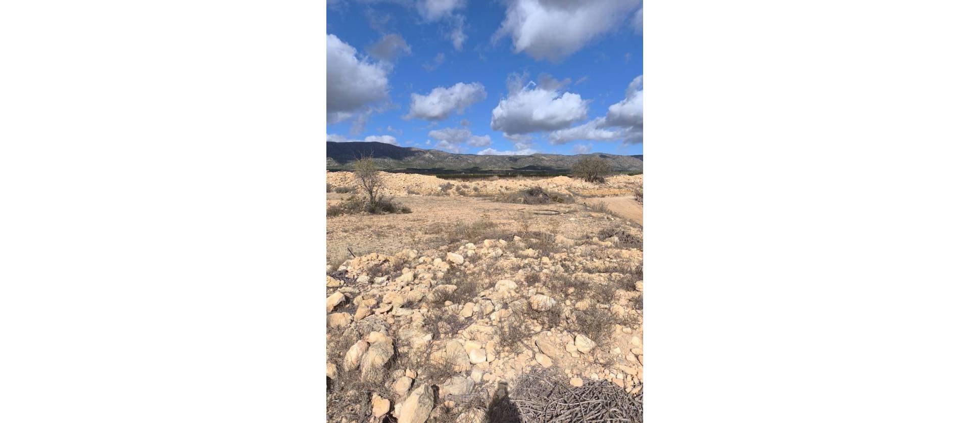 Revente - Land - Pinoso