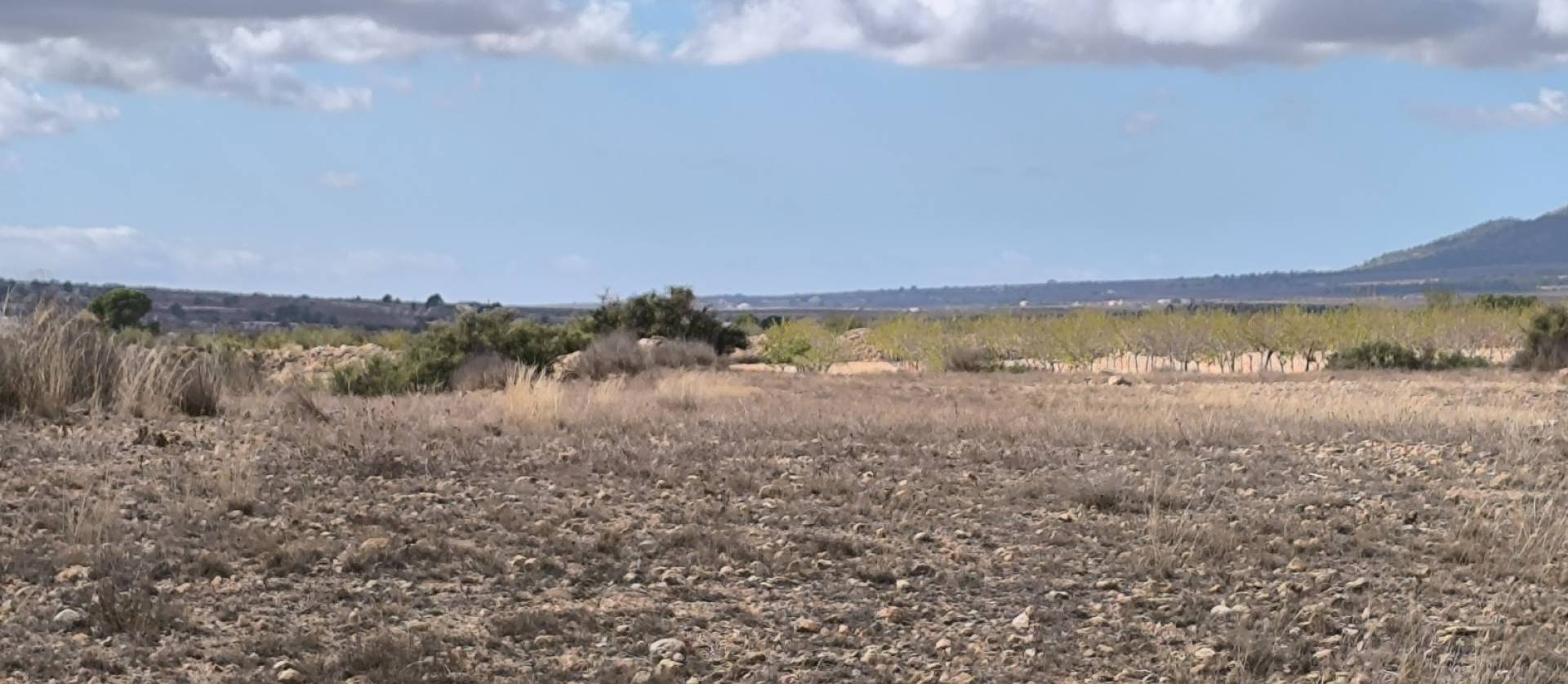 Revente - Land - Pinoso