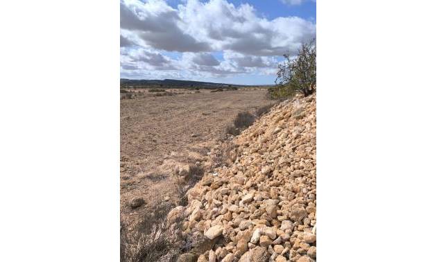 Revente - Land - Pinoso