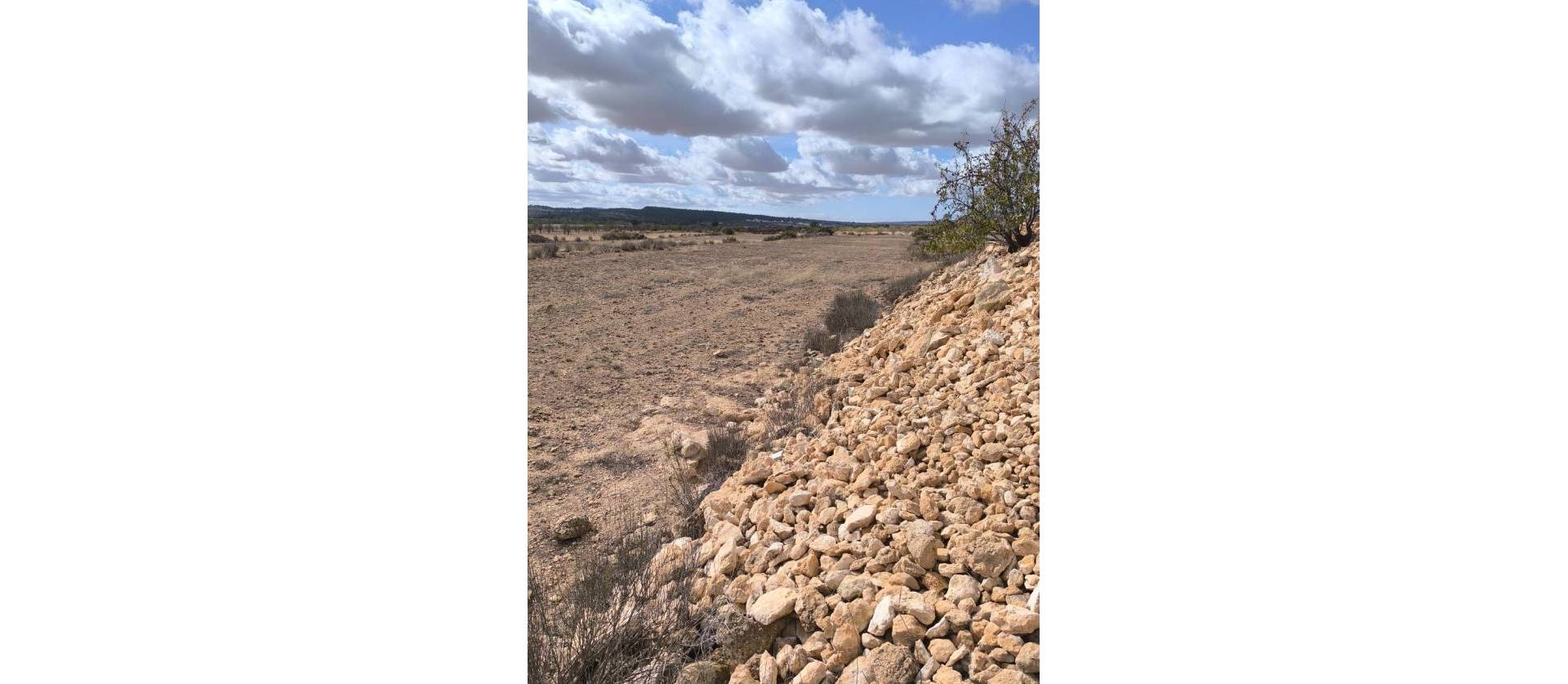 Revente - Land - Pinoso