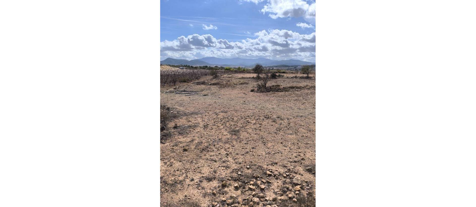 Revente - Land - Pinoso