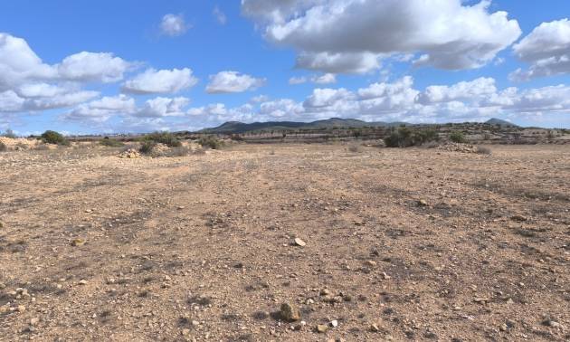 Revente - Land - Pinoso