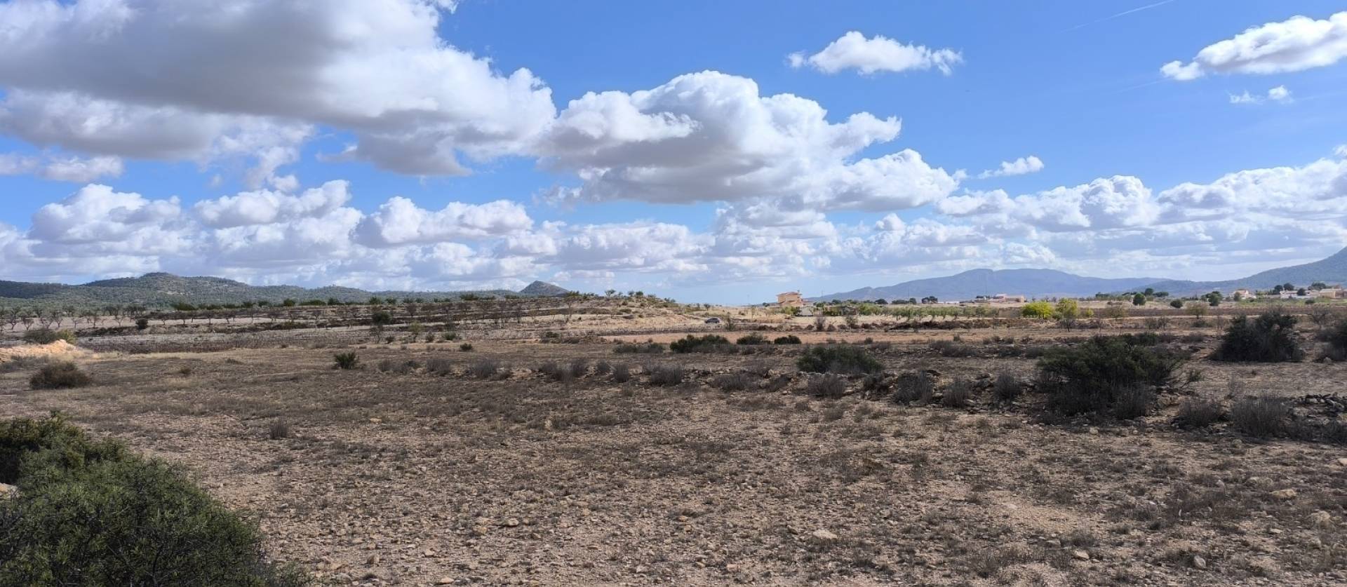 Revente - Land - Pinoso