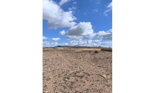 Revente - Land - Pinoso