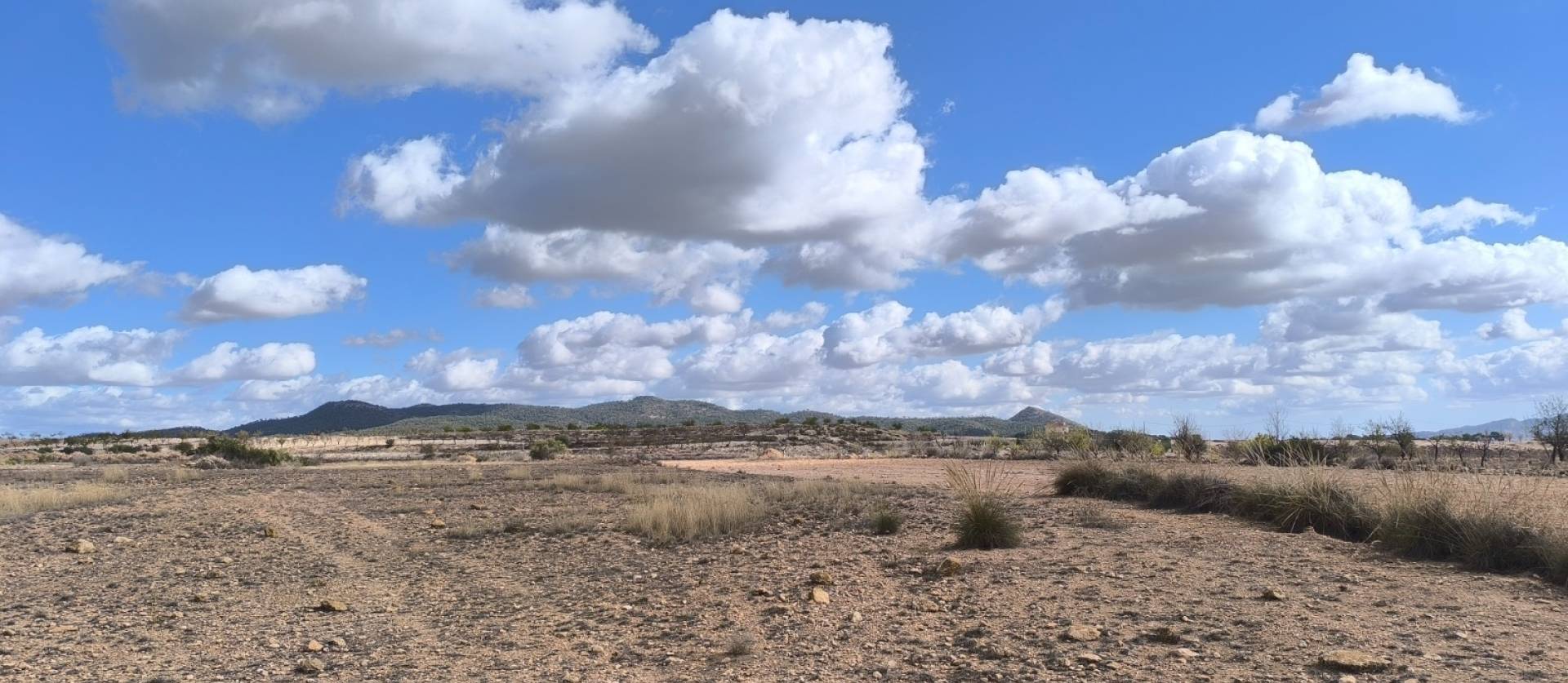 Revente - Land - Pinoso