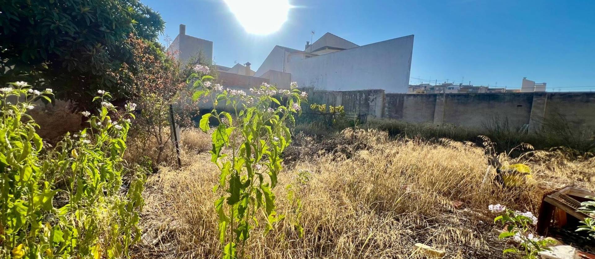 Revente - Maison de ville - Pinoso