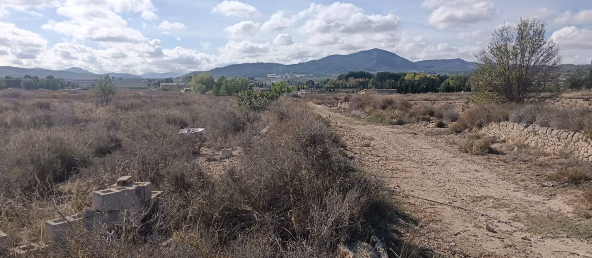 Revente - Land - Salinas