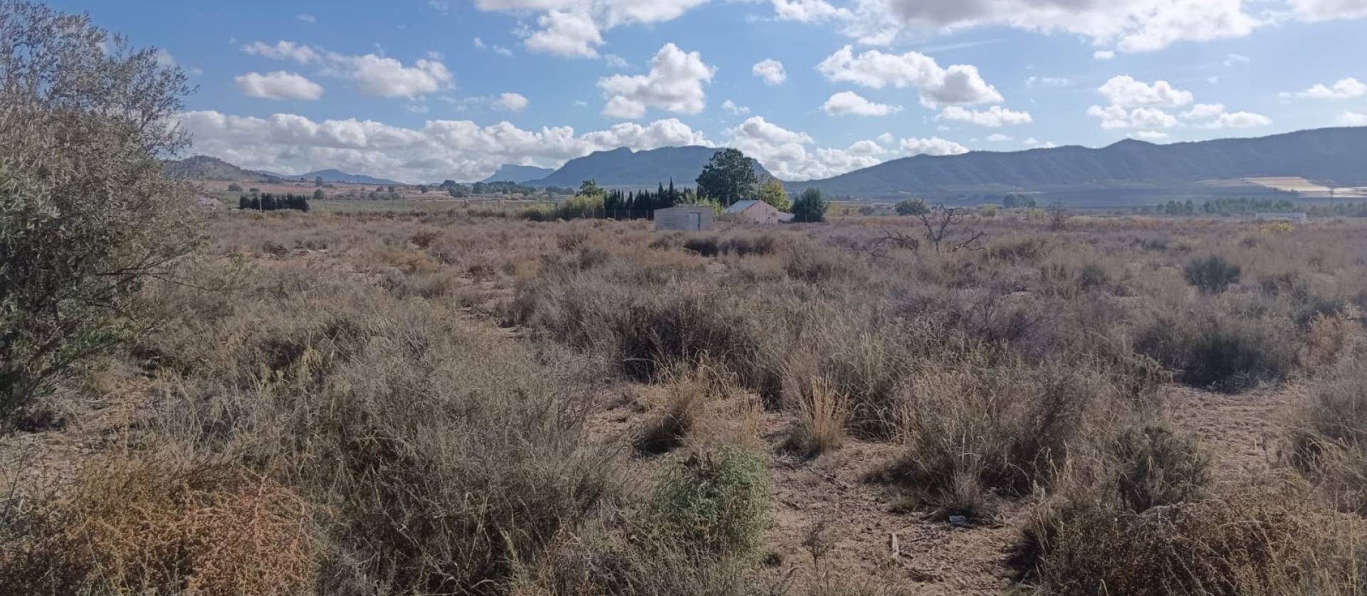 Revente - Land - Salinas