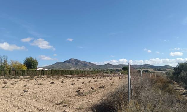 Revente - Land - Salinas