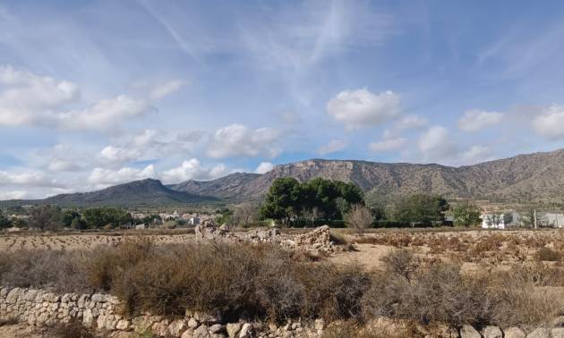 Revente - Land - Salinas