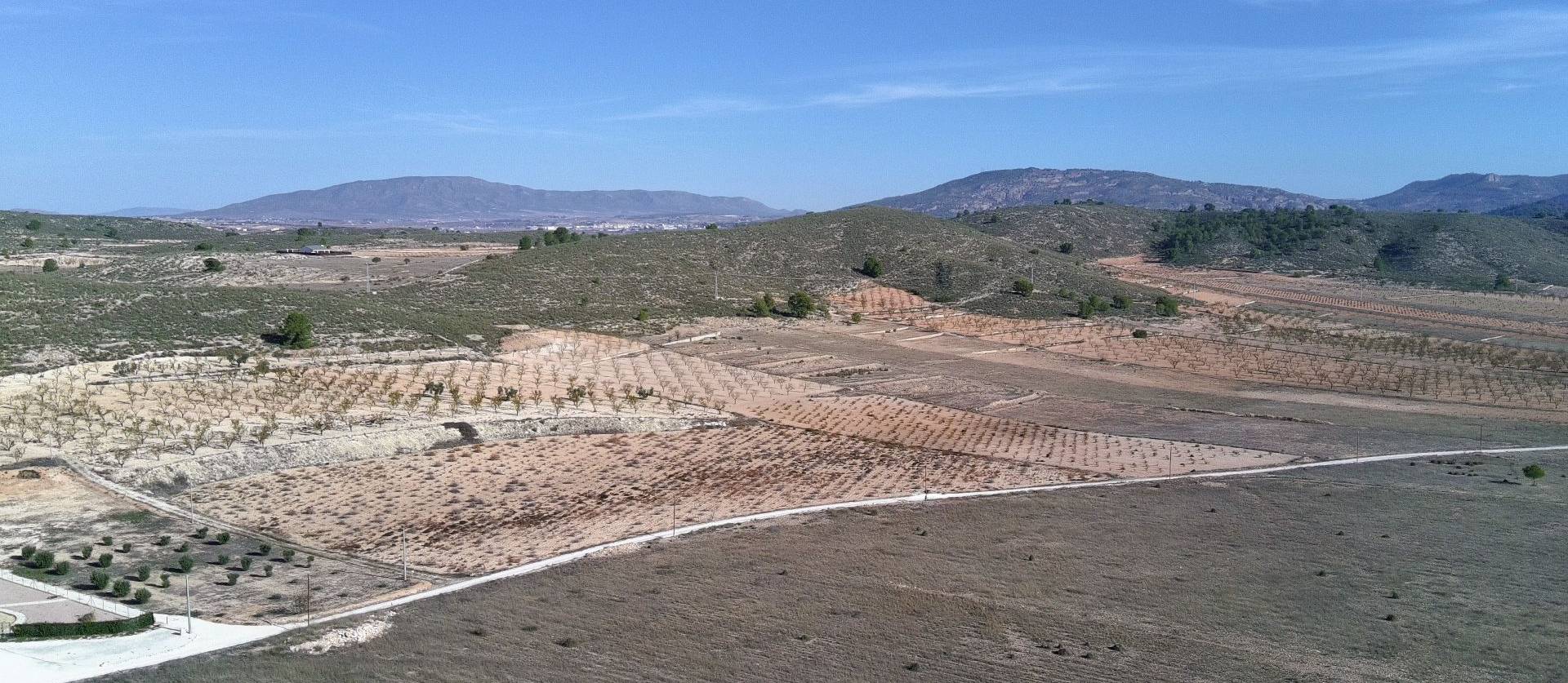 Revente - Land - Canada del Trigo