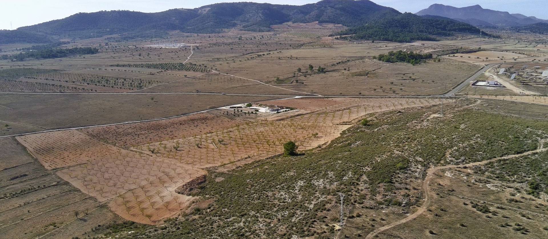 Revente - Land - Canada del Trigo