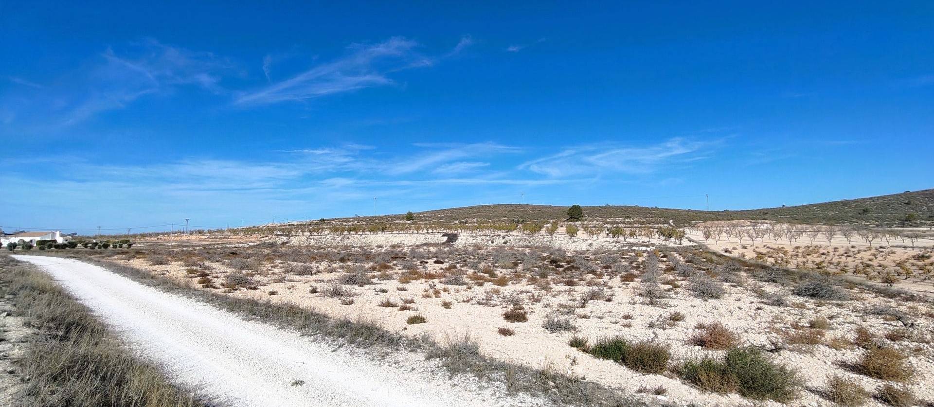 Revente - Land - Canada del Trigo