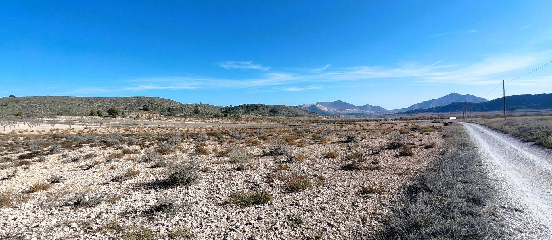 Revente - Land - Canada del Trigo