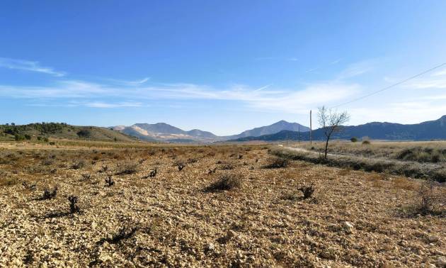 Revente - Land - Canada del Trigo