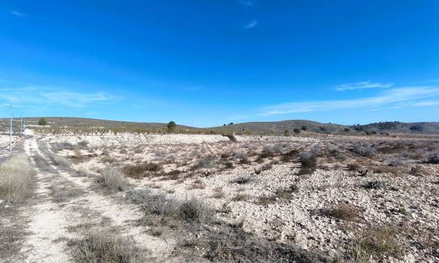 Revente - Land - Canada del Trigo
