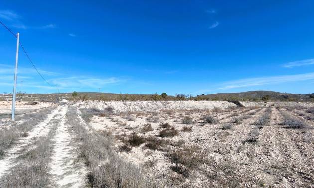 Revente - Land - Canada del Trigo