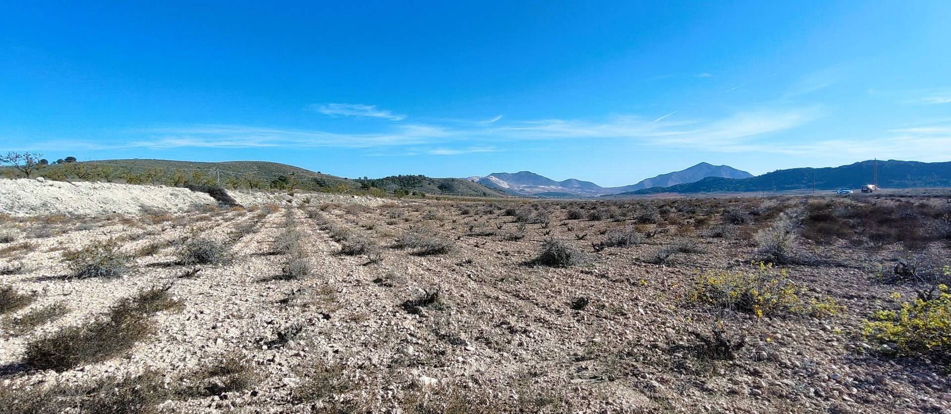Revente - Land - Canada del Trigo