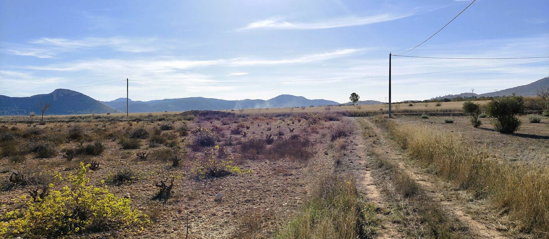 Revente - Land - Canada del Trigo