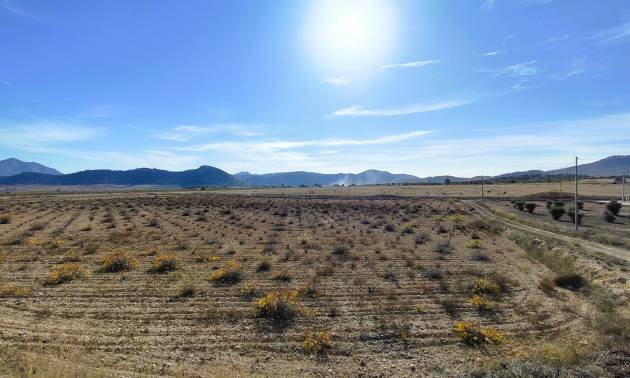 Revente - Land - Canada del Trigo