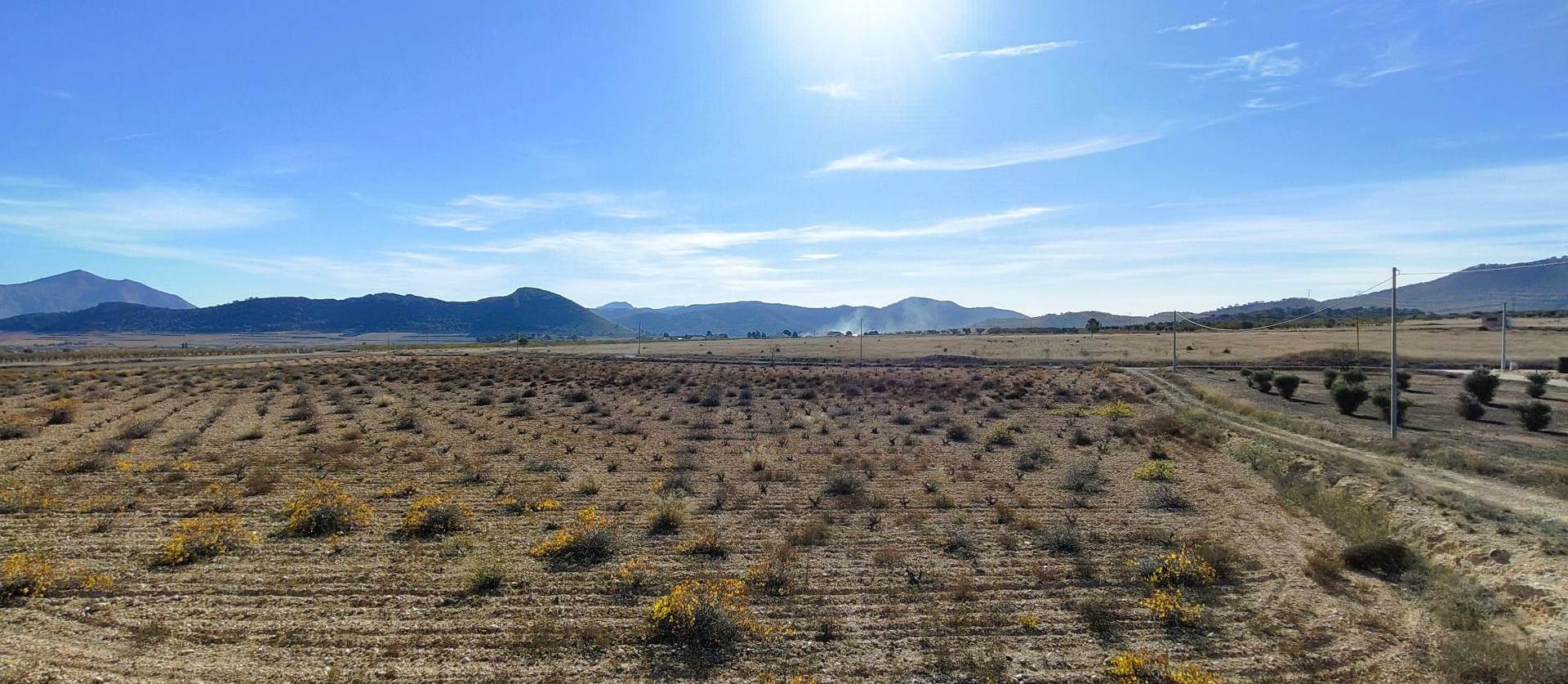 Revente - Land - Canada del Trigo
