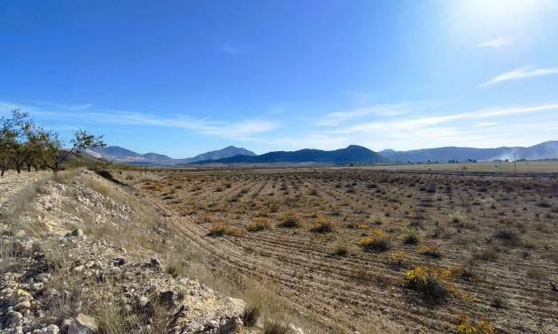 Revente - Land - Canada del Trigo